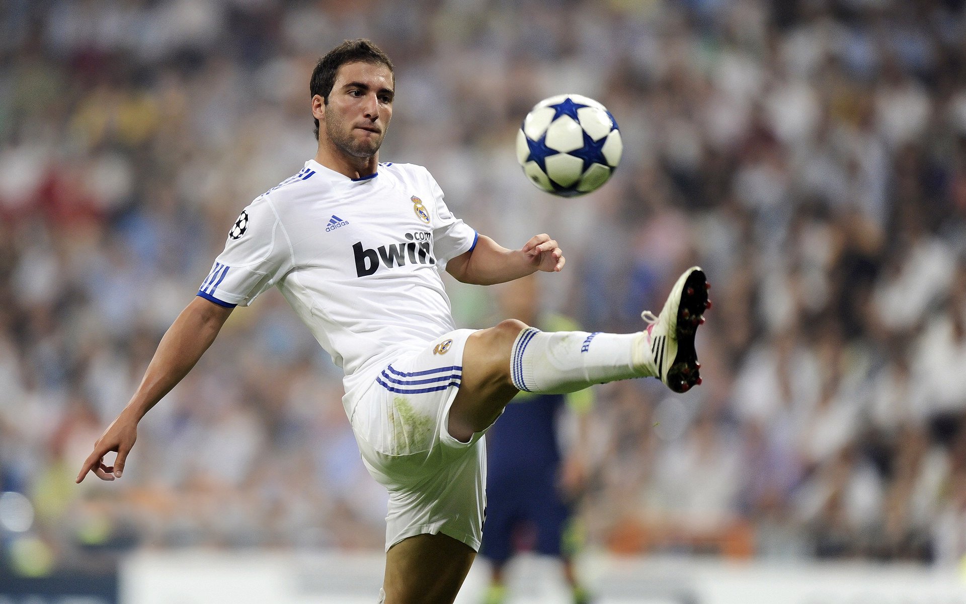 女子欧冠金靴诞生 欧洲锋线女王单季15球封神